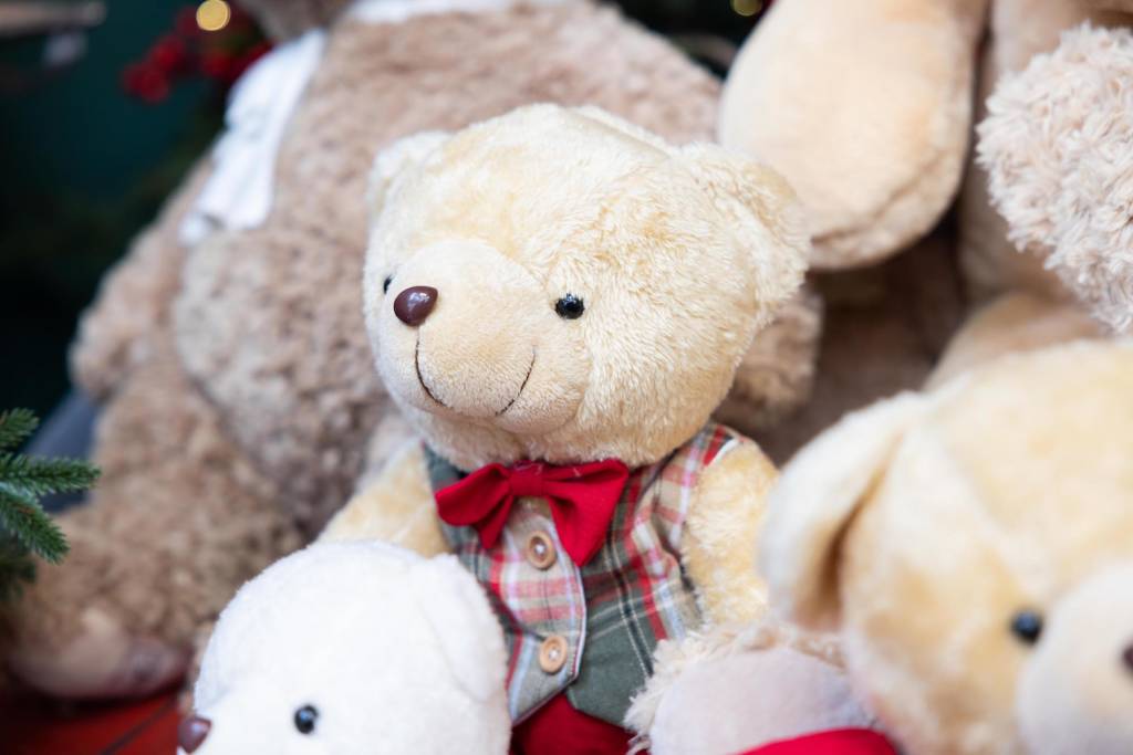 Varese - Il Paese del Natale di Nicora Garden