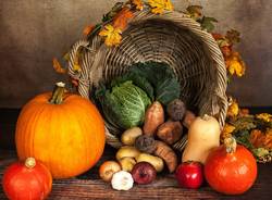 zucca ortaggi autunno verdure pixabay