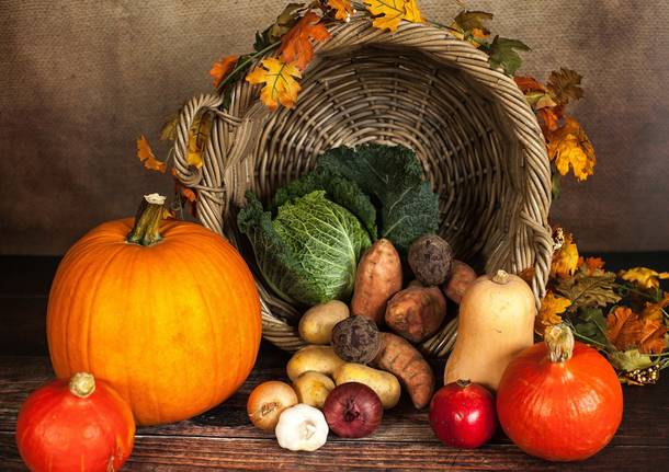 zucca ortaggi autunno verdure pixabay