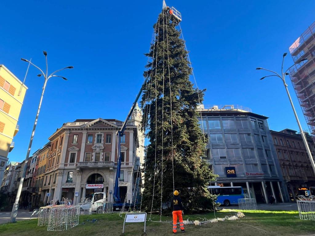 addobo albero natale varese