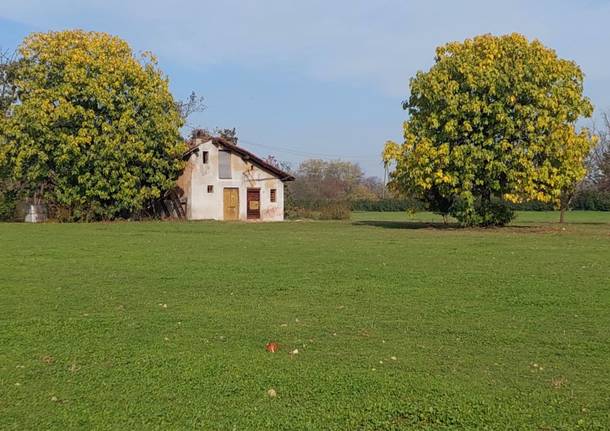 Al Parco Alto Milanese l'evento "Cammina foreste urbane"