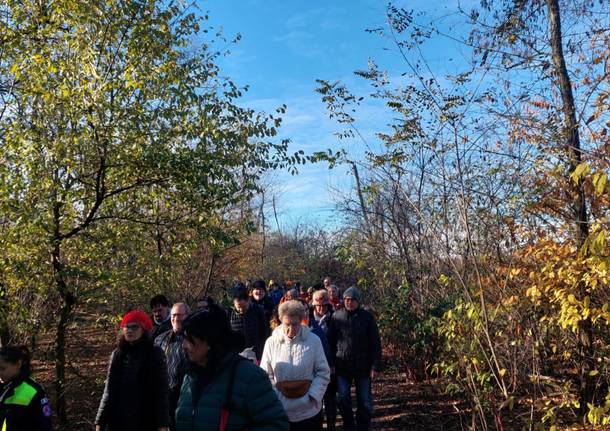 Al Parco Alto Milanese l'evento "Cammina foreste urbane"