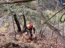 Capre in difficoltà: le salva il Soccorso alpino