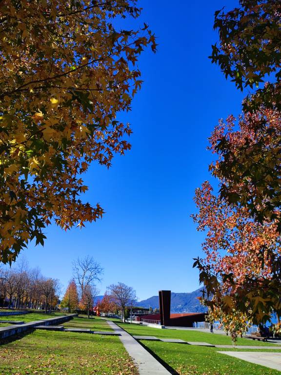 L\'autunno sul lago a Luino