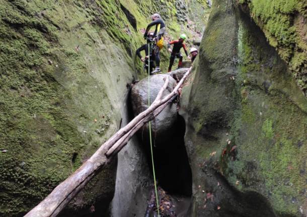 La pulizia del torrente Bustecche