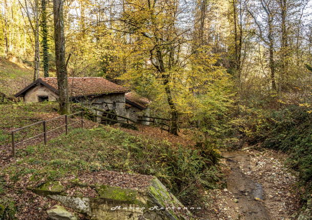 I colori dell\'autunno