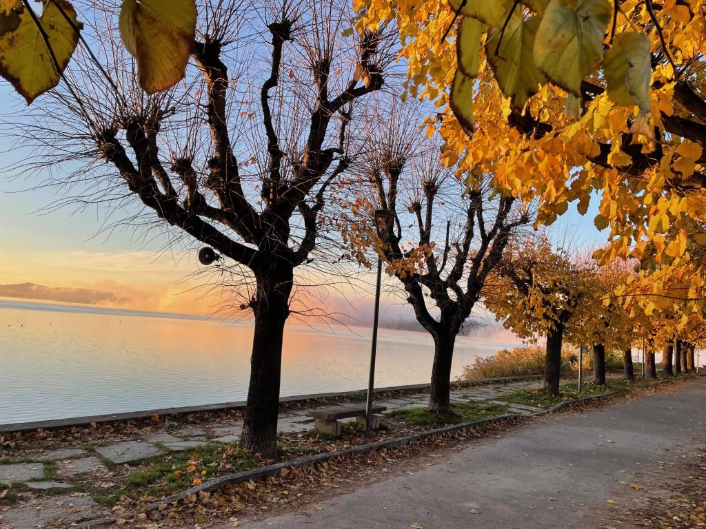 Luce del mattino lungolago