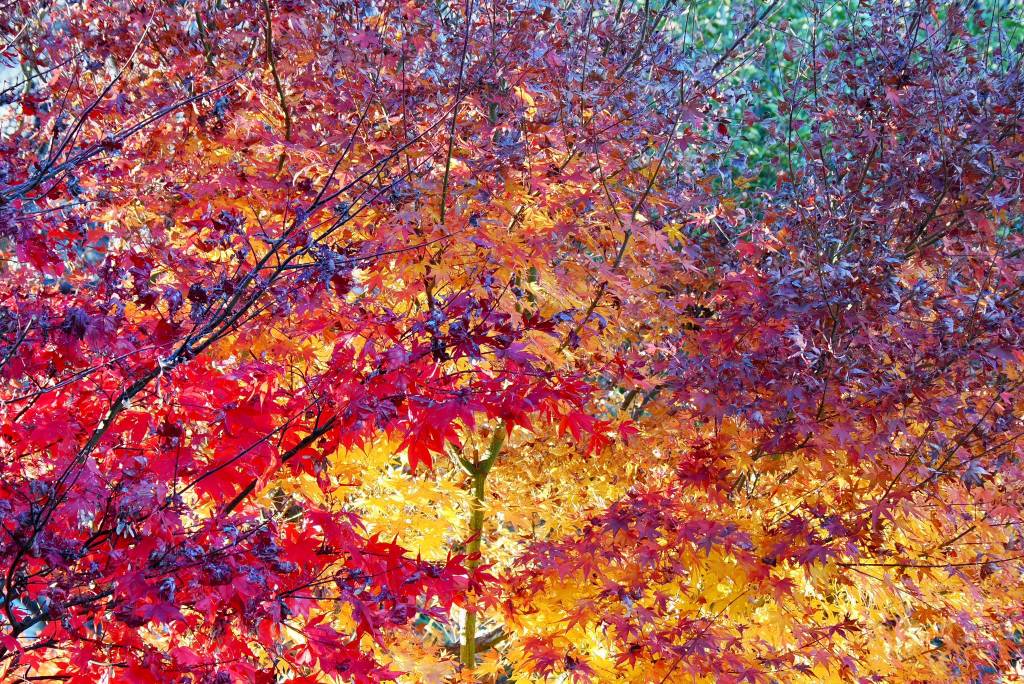 In centinaia alla giornata del Sentiero Italia