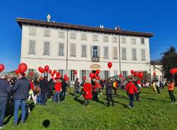 Cassano Magnago violenza donne