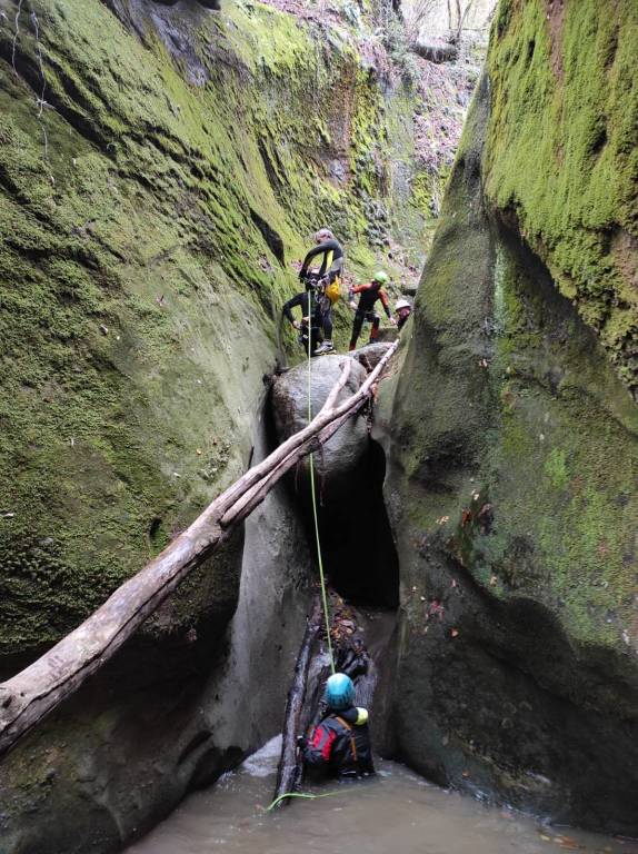 Clean your backyard 2022