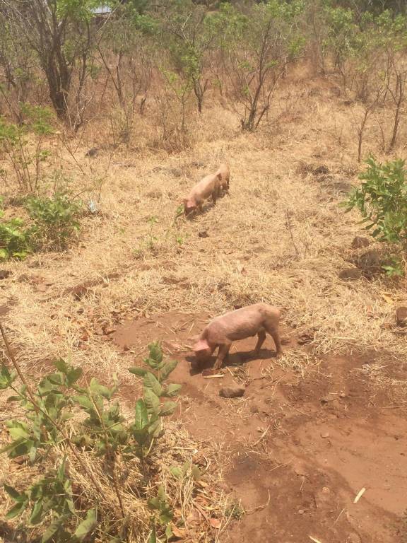 Da Varese allo Zambia: l'esperienza di vita in Africa di Giovanni Riganti