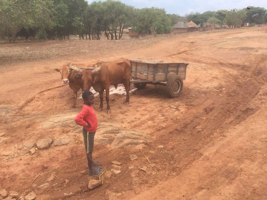 Da Varese allo Zambia: l'esperienza di vita in Africa di Giovanni Riganti