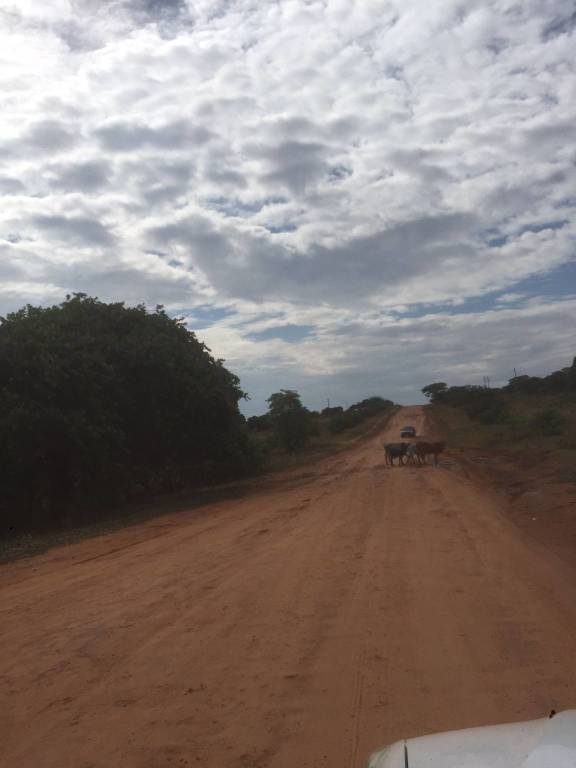 Da Varese allo Zambia: l'esperienza di vita in Africa di Giovanni Riganti
