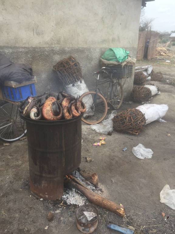 Da Varese allo Zambia: l'esperienza di vita in Africa di Giovanni Riganti