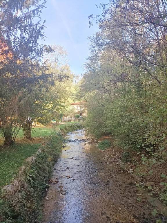 Domenica di pulizia sui sentieri di Casciago