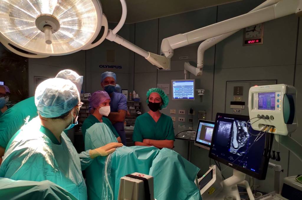 equipe chirurgia urologia prof deho
