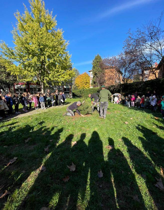 Festa Albero don Milani Legnano