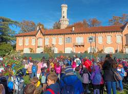 festa dell'albero varese