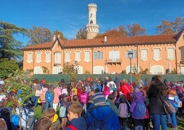 festa dell'albero varese