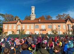 festa dell'albero varese