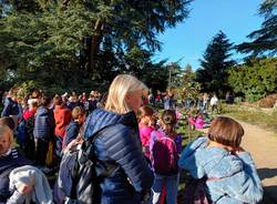 festa dell'albero varese