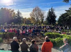 festa dell'albero varese