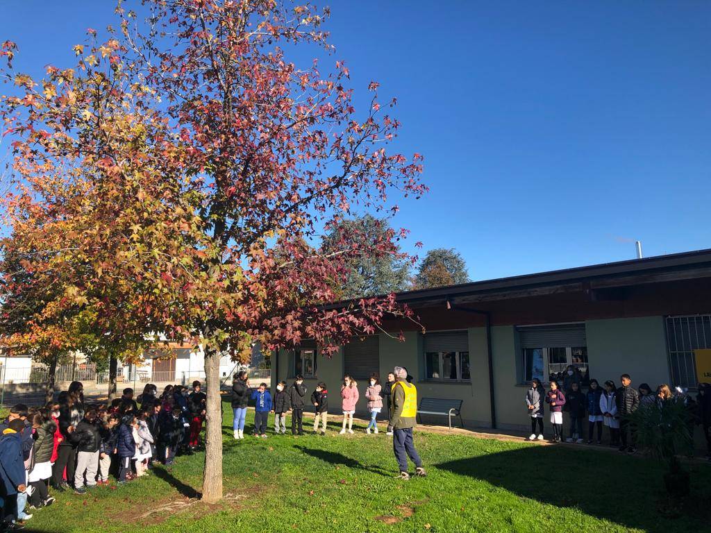 Festa Nazionale dell'Albero alle Scuole Primarie Deledda e Toscanini di Legnano