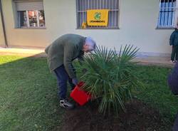 Festa Nazionale dell'Albero alle Scuole Primarie Deledda e Toscanini di Legnano