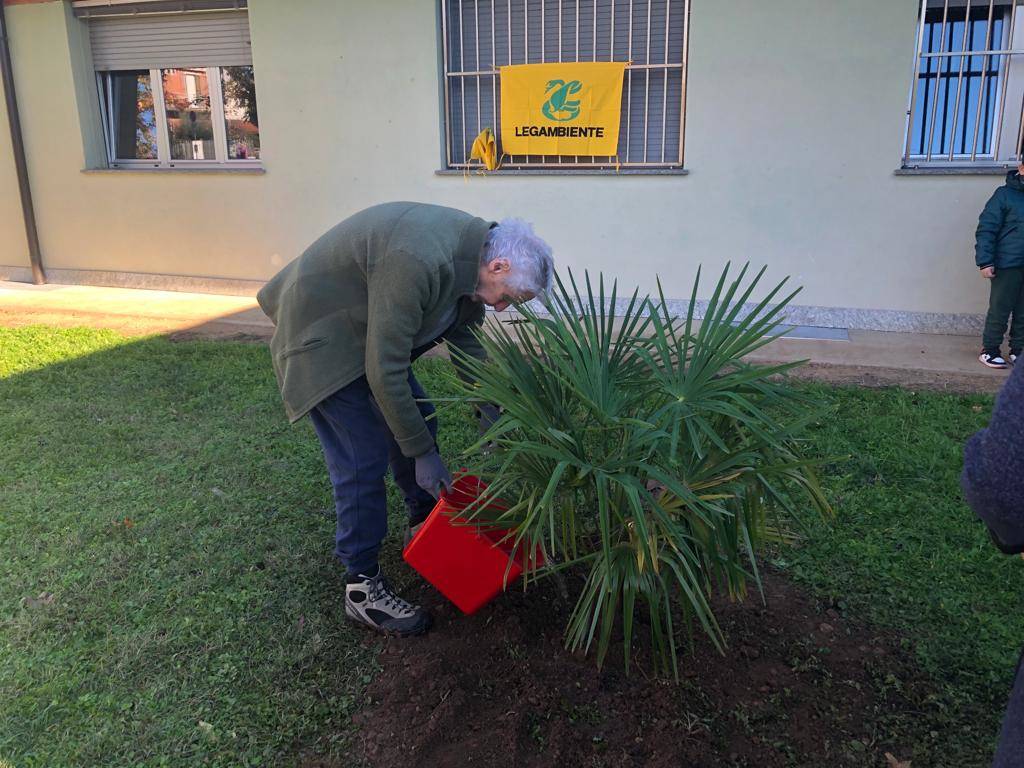 Festa Nazionale dell'Albero alle Scuole Primarie Deledda e Toscanini di Legnano