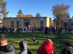 Festa Nazionale dell'Albero alle Scuole Primarie Deledda e Toscanini di Legnano