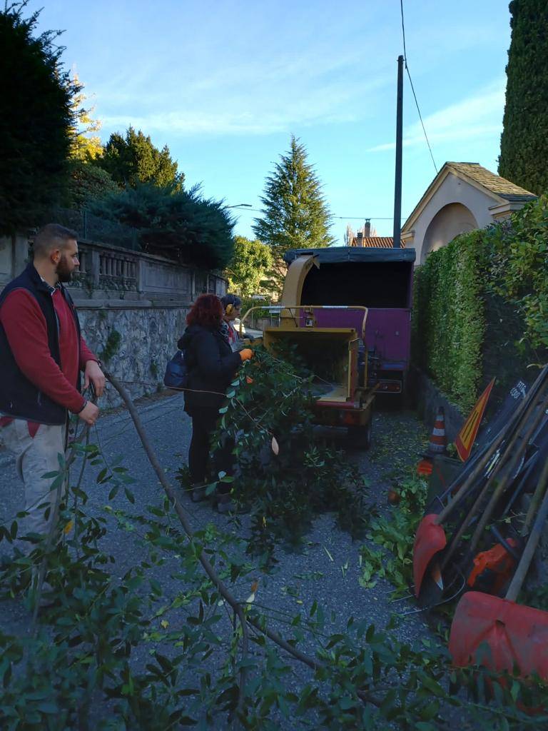 Fito-Consult: “Festeggiamo gli alberi, lavorando per loro”