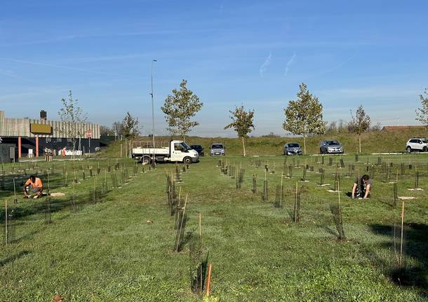 Forestami porta a Busto Garolfo più di 1.500 nuovi alberi e arbusti 