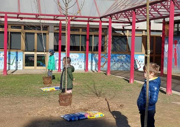 Festa alberi Marnate 2022