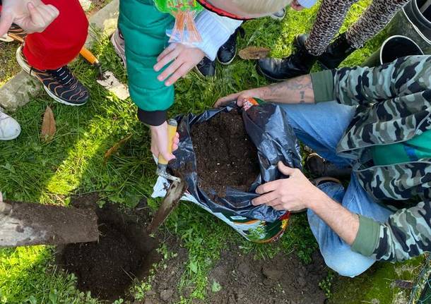giornata dell'albero a cazzago