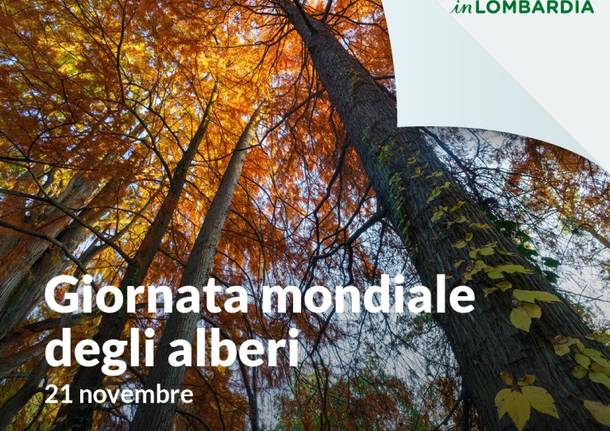 Gli alberi della Lombardia