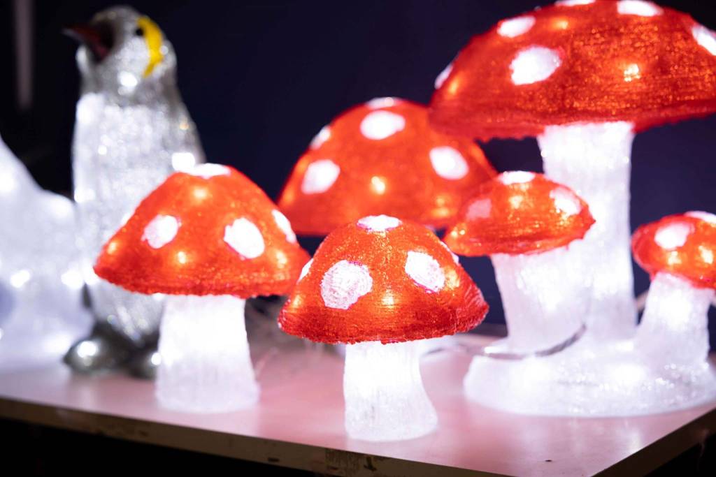 Il Paese di Natale da Nicora Garden a Varese