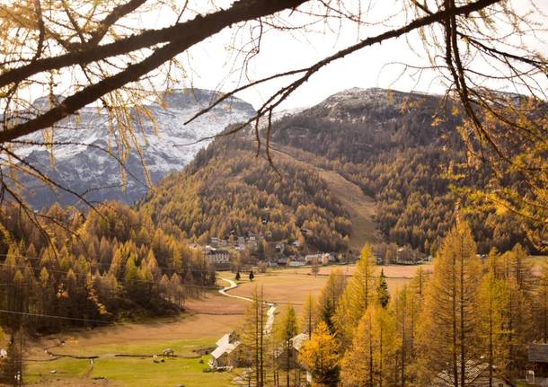 L'Alpe Devero e i colori dell'autunno 