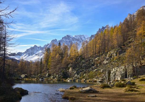 I colori dell’autunno all’Alpe Devero nelle foto di Luca Camarella