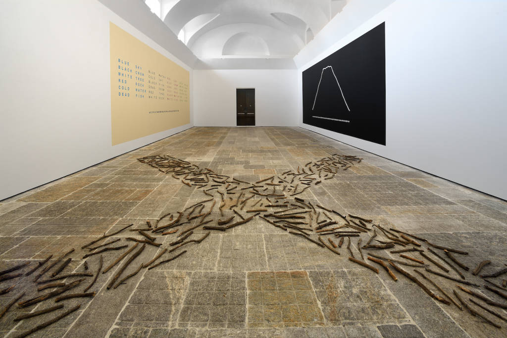 La mostra Ex Natura a Villa e Collezione Panza a Varese 