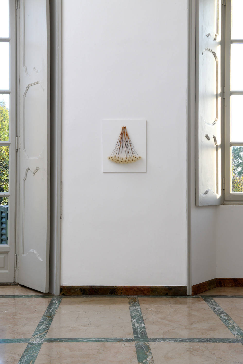 La mostra Ex Natura a Villa e Collezione Panza a Varese 