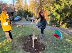 messa a dimora di un albero di varietà antica dedicato a Barbara Gallavotti