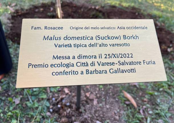 messa a dimora di un albero di varietà antica dedicato a Barbara Gallavotti