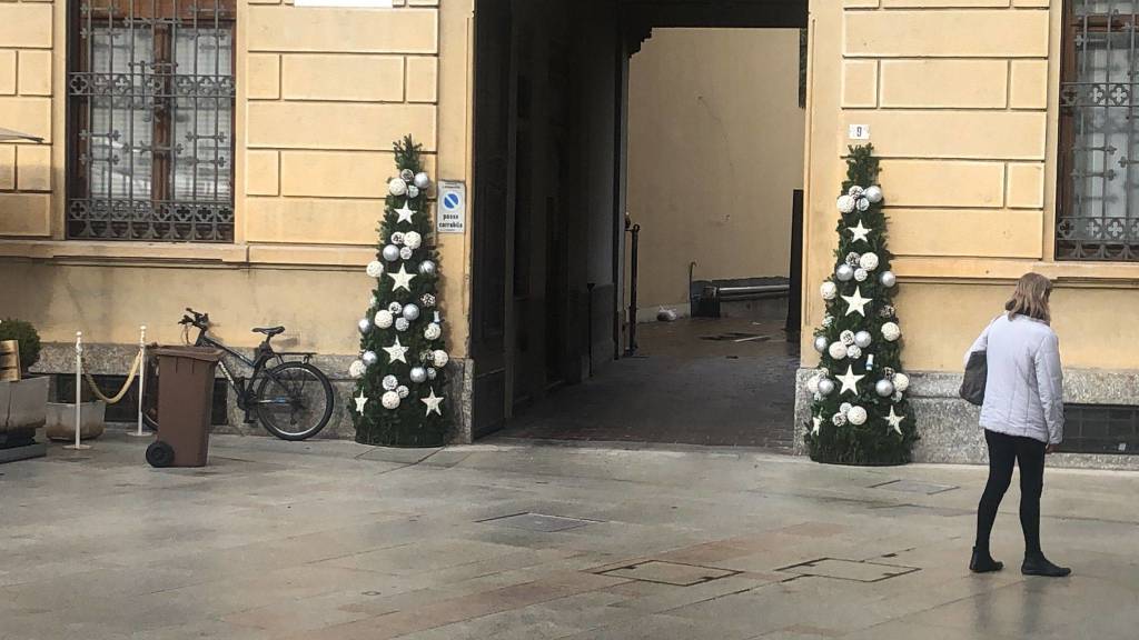 Prende forma il Natale a Legnano con alberi addobbati in centro e in periferia