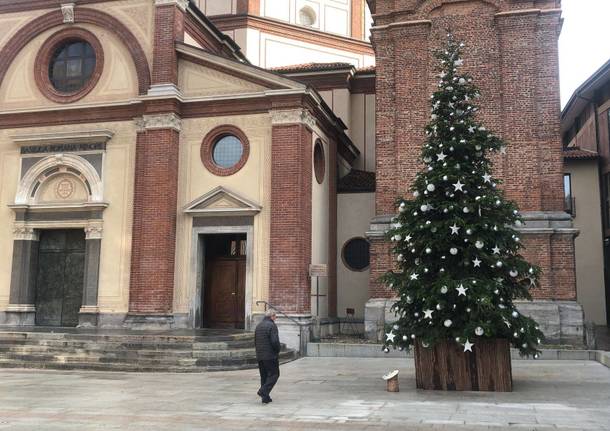 Prende forma il Natale a Legnano con alberi addobbati in centro e in periferia