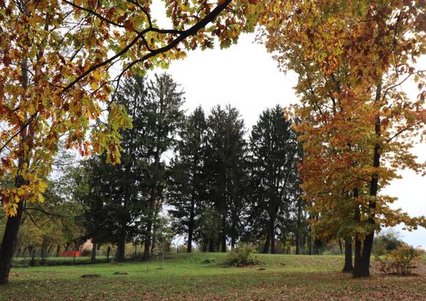 Scuola dell'infanzia Parrocchiale di Caronno Varesino