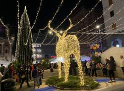 Varese - L'albero di Natale e le bancarelle in piazza