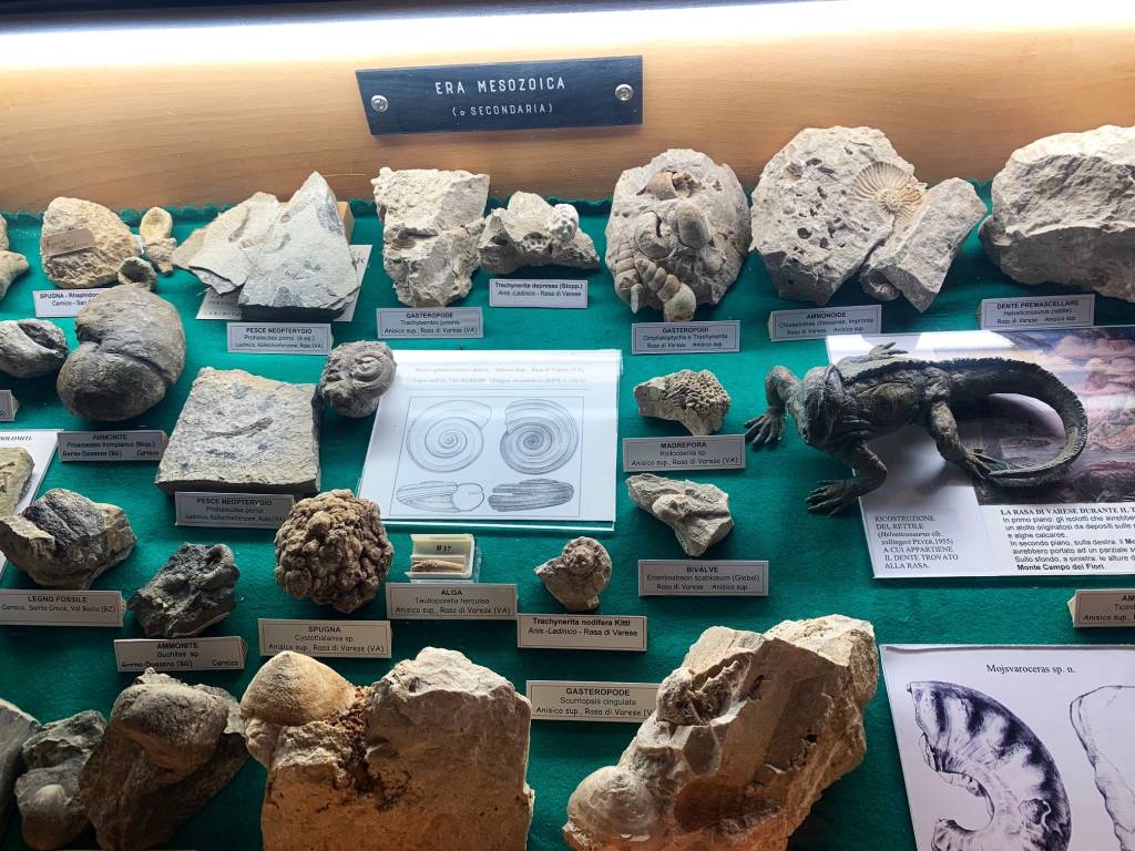 Venegono Inferiore - Scuole e volontari al Museo