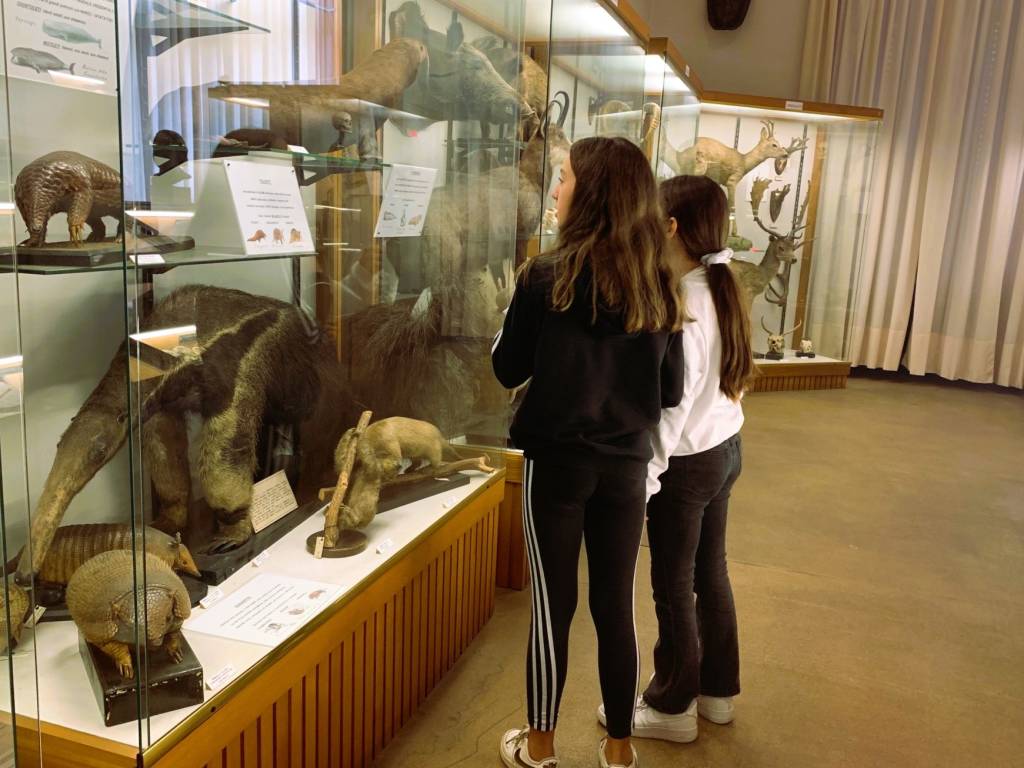 Venegono Inferiore - Scuole e volontari al Museo