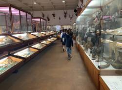 Venegono Inferiore - Scuole e volontari al Museo