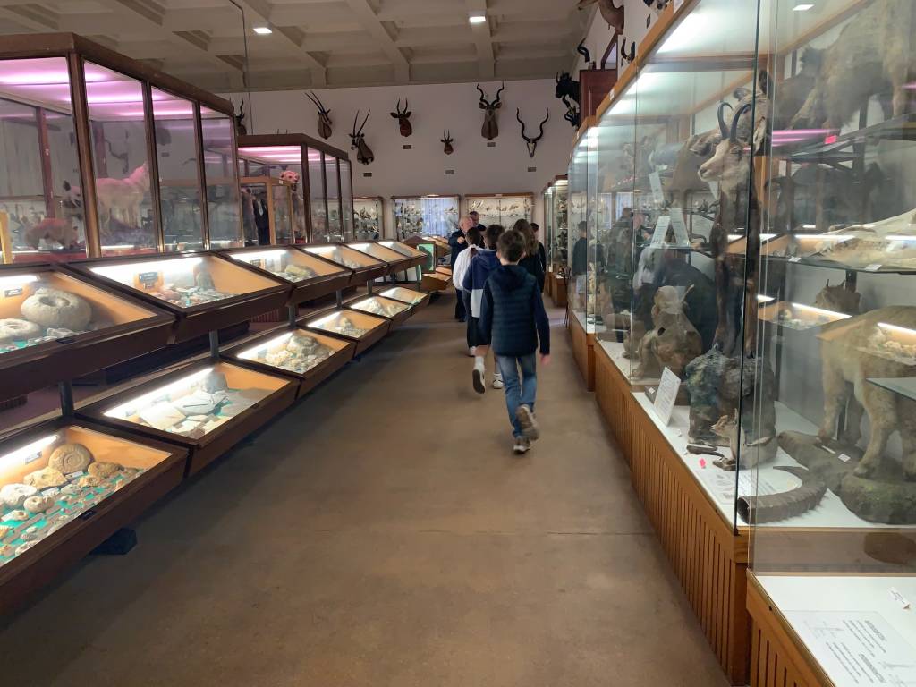 Venegono Inferiore - Scuole e volontari al Museo